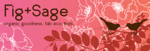 UPDATED PNG Fig and Sage Banner 1-9-09